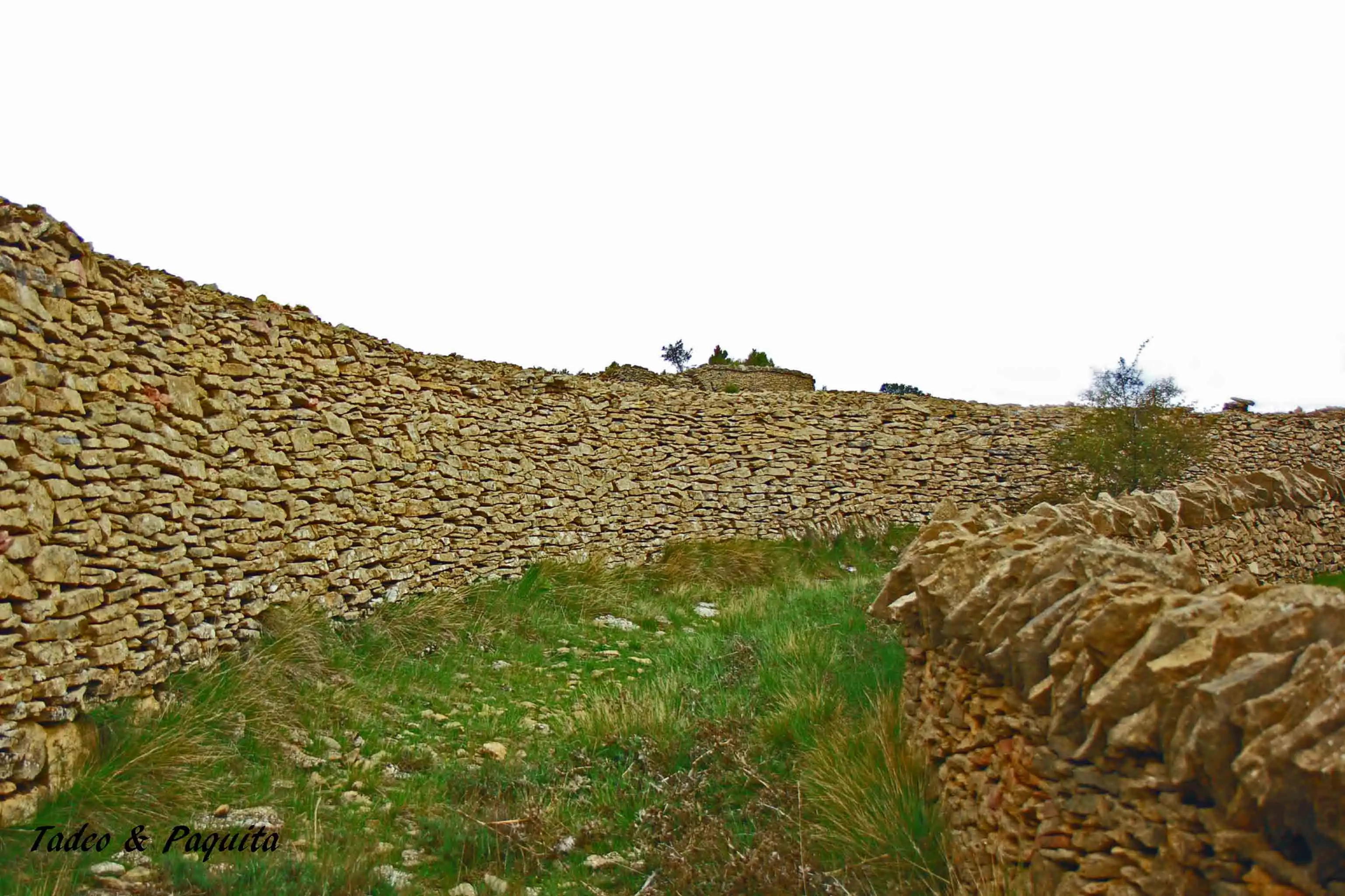 Muro de piedra seca