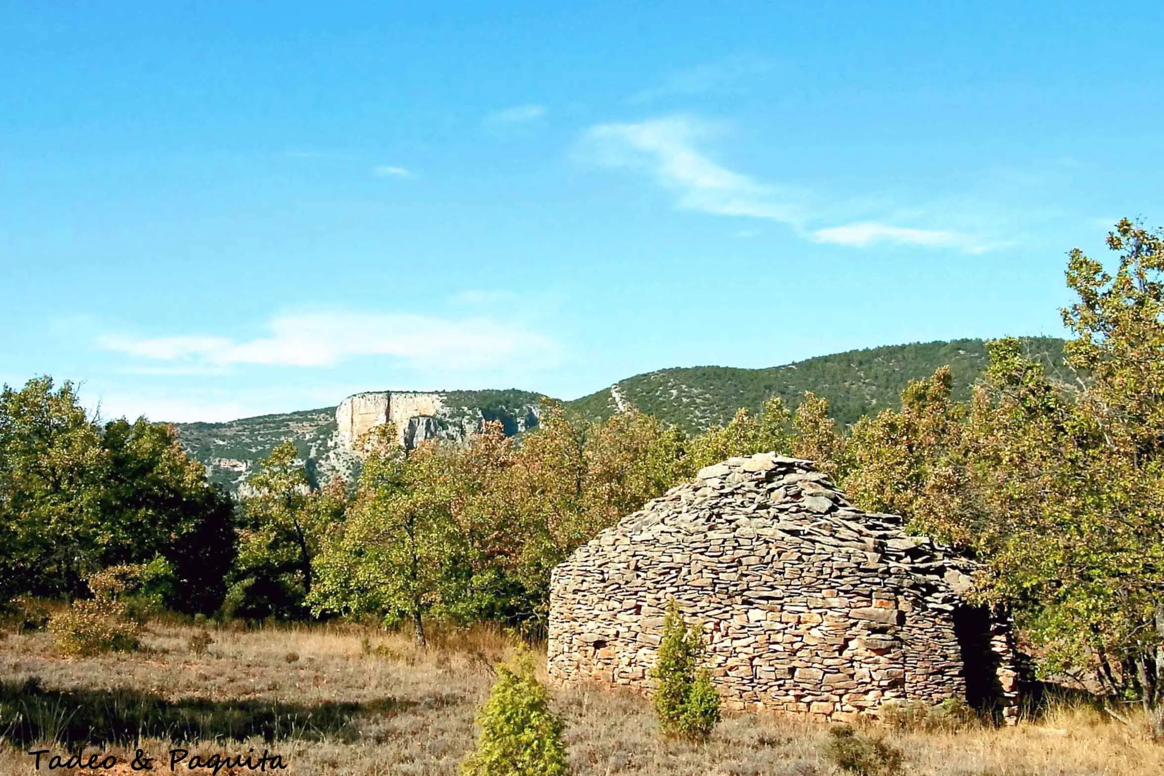 Pared de piedra seca sosteniendo un bancal