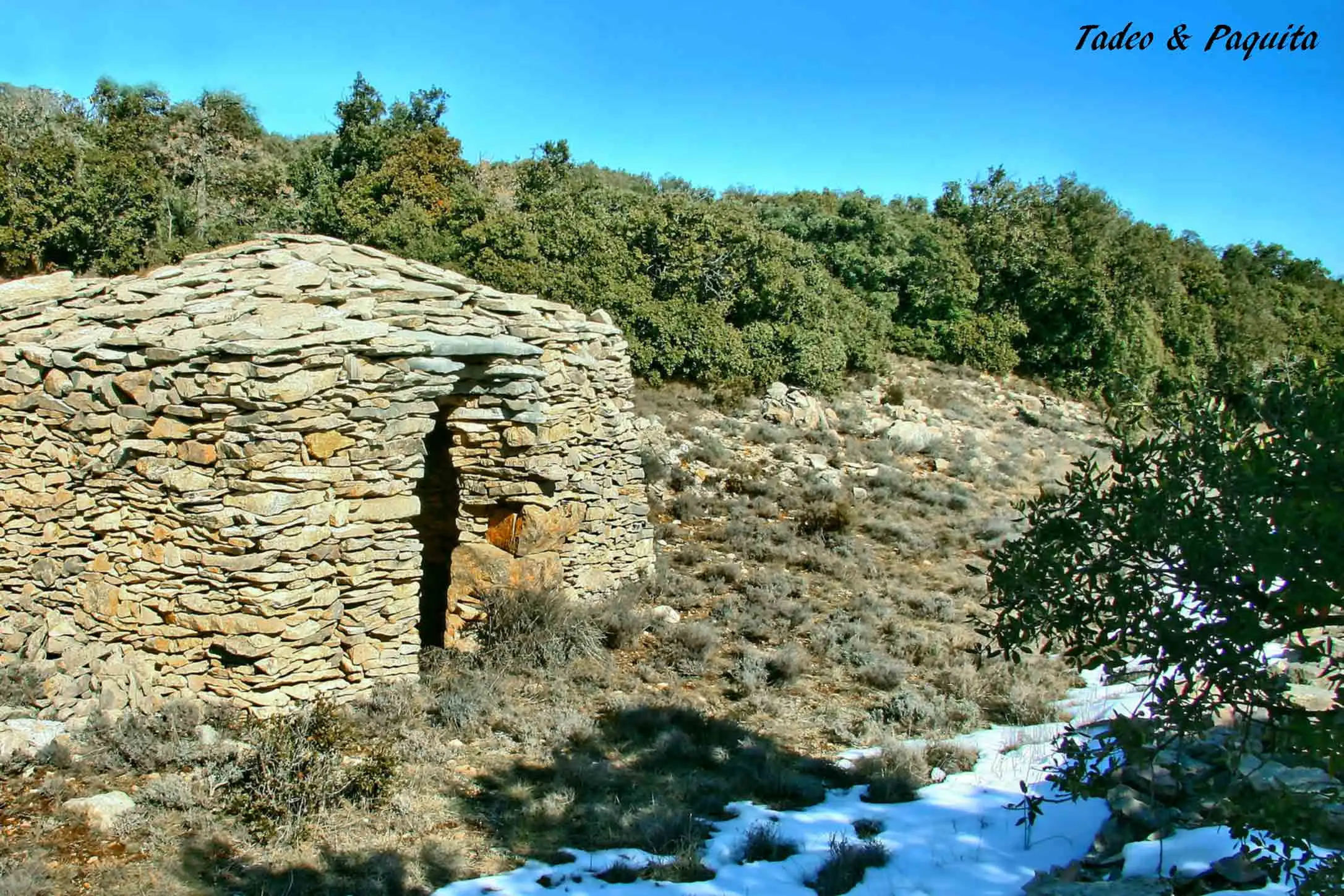 Barraca de piedra seca entre campos